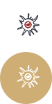 ذ