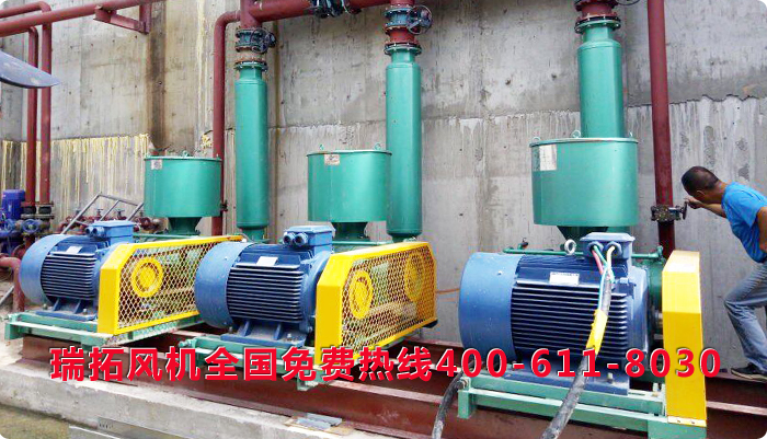 �_�Ĺ��L�C��������